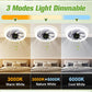 💥2024 HOT SALE 49% OFF💥 2-in-1 Mute Adjustable Fan Light with Remote Control