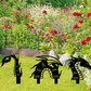 🌸LAST DAY SPECIAL PRICE!!🌸Garden Art - Dragon