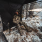 ⏰️Last Day For Free Shipping⌛️Vis Series See Through Hunting Blind, Pop Up Ground Deer Blind