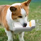 🐱 LAST DAY PROMOTION - 49%OFF🐶Outdoor Portable Water Bottle for Pets