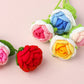 🔥NEW HOT SALE 49% OFF 🌹Handmade Crochet Roses & Tulips Flowers🌹