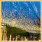 🎁Last Day Promotion 49% OFF🔥LED Solar Garden Ambient Light