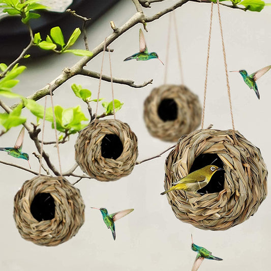 🔥Buy 2 Get 1 Free🔥Free Shipping🐦Hummingbird Nest House