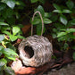 🔥Buy 2 Get 1 Free🔥Free Shipping🐦Hummingbird Nest House