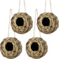 🔥Buy 2 Get 1 Free🔥Free Shipping🐦Hummingbird Nest House