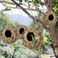 🔥Buy 2 Get 1 Free🔥Free Shipping🐦Hummingbird Nest House
