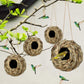 🔥Buy 2 Get 1 Free🔥Free Shipping🐦Hummingbird Nest House