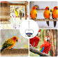🔥Free Shipping & 50% OFF🔥Outdoor Hanging Heart-Shaped Bird Feeder