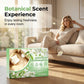 💥 BUY 2 GET 1 FREE + Free Shipping! 🥳Multi-Effect Floor Cleaner Tablets